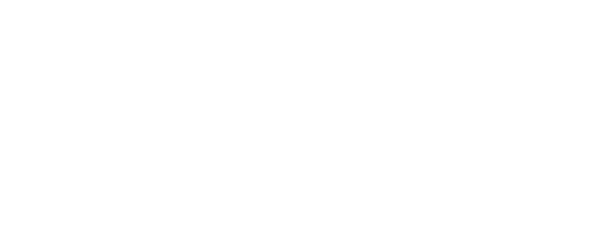 Division Shick Shock